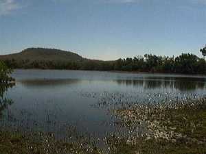 A view of the lake, with birds flying overhead. 