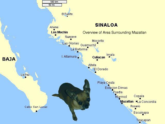 A map of Mexico, showing Mazatlan, which is just even with the tip of the Baja peninsula but on the mainland.Mazatlan is 200 miles north of Puerto Vallarta, and only 1000 miles south of Los Angeles. It is basically the same latitude as Kauai, just south of the Tropic of Cancer. One of the big differences between it and Hawaii is that it is probably about five times cheaper. 